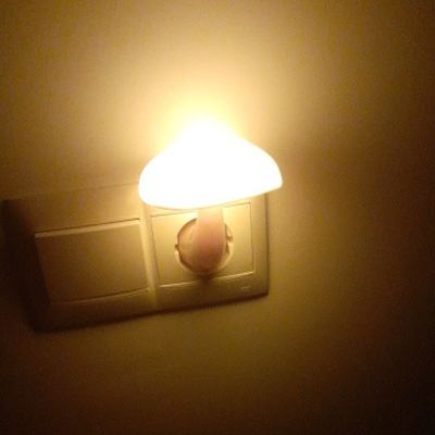 Veilleuse champignon bebe